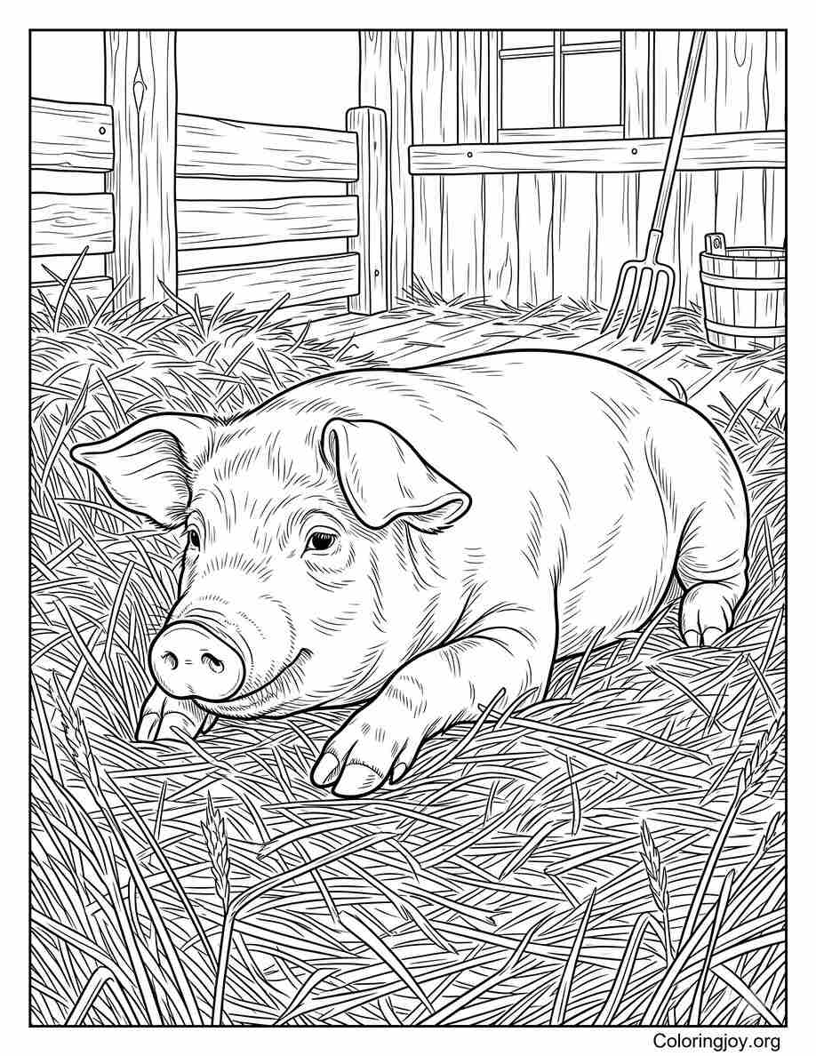 Realistic Pig Resting In Straw Bedding Coloring Page