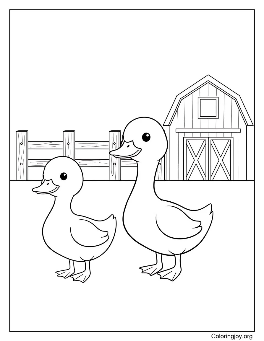 Watch two smooth-bodied ducklings wander across a sunny farmyard.