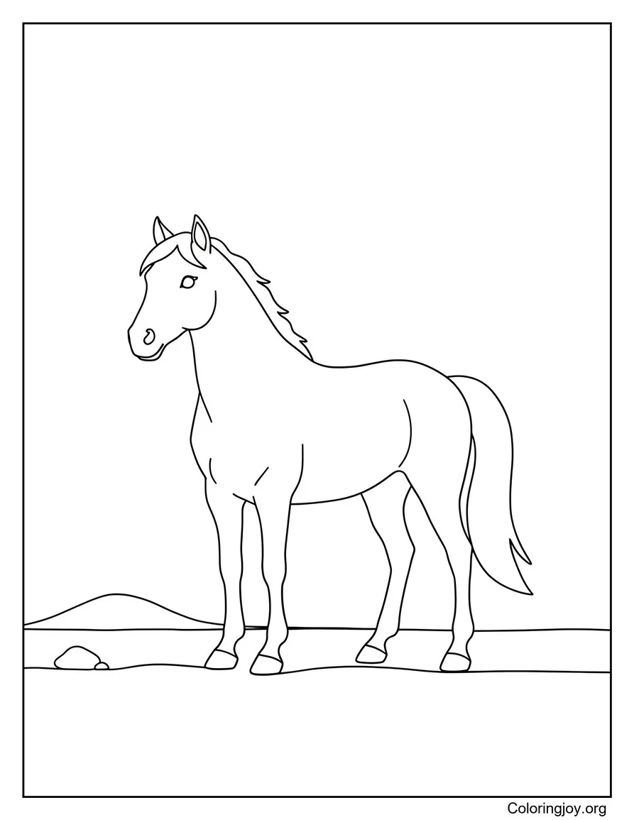 Wild Mustang Horse