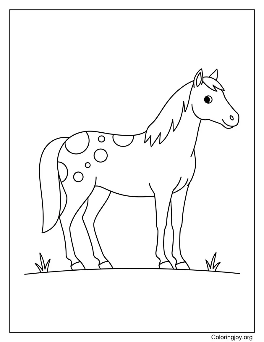 Covered in small spots, an Appaloosa horse stands calmly and looks unique.