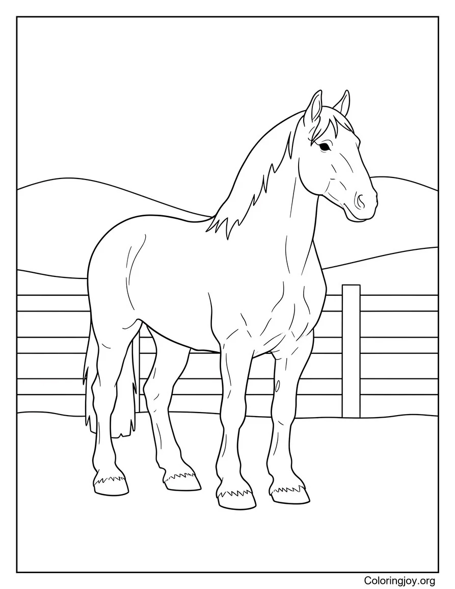Strong and steady, a Shire horse stands tall with a powerful build.