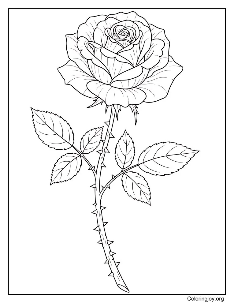 Rose and Thorn Coloring Page