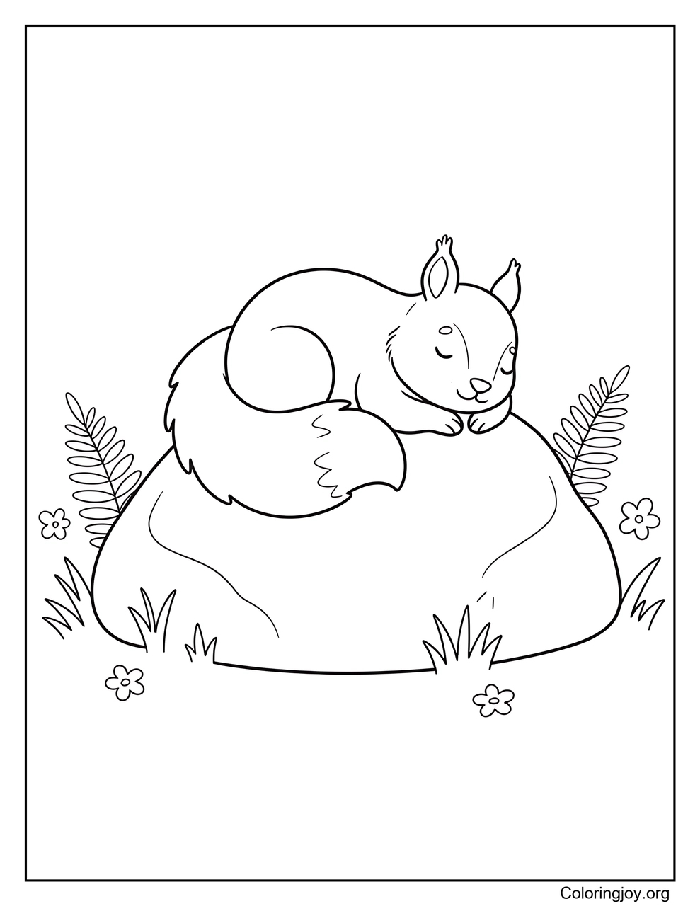 Surrounded by ferns and flowers, a squirrel relaxes on a smooth rock.