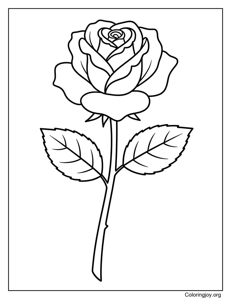Easy Rose Coloring Page
