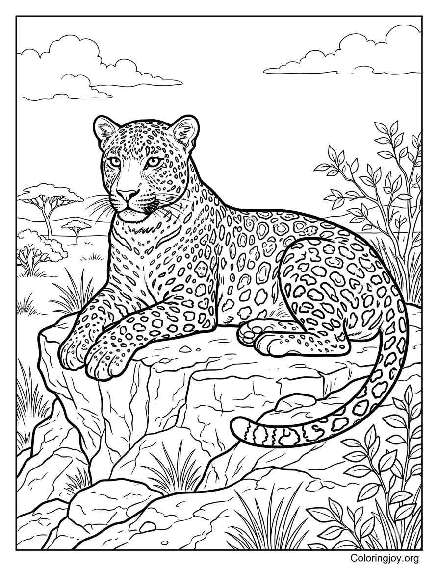 Realistic Leopard Art