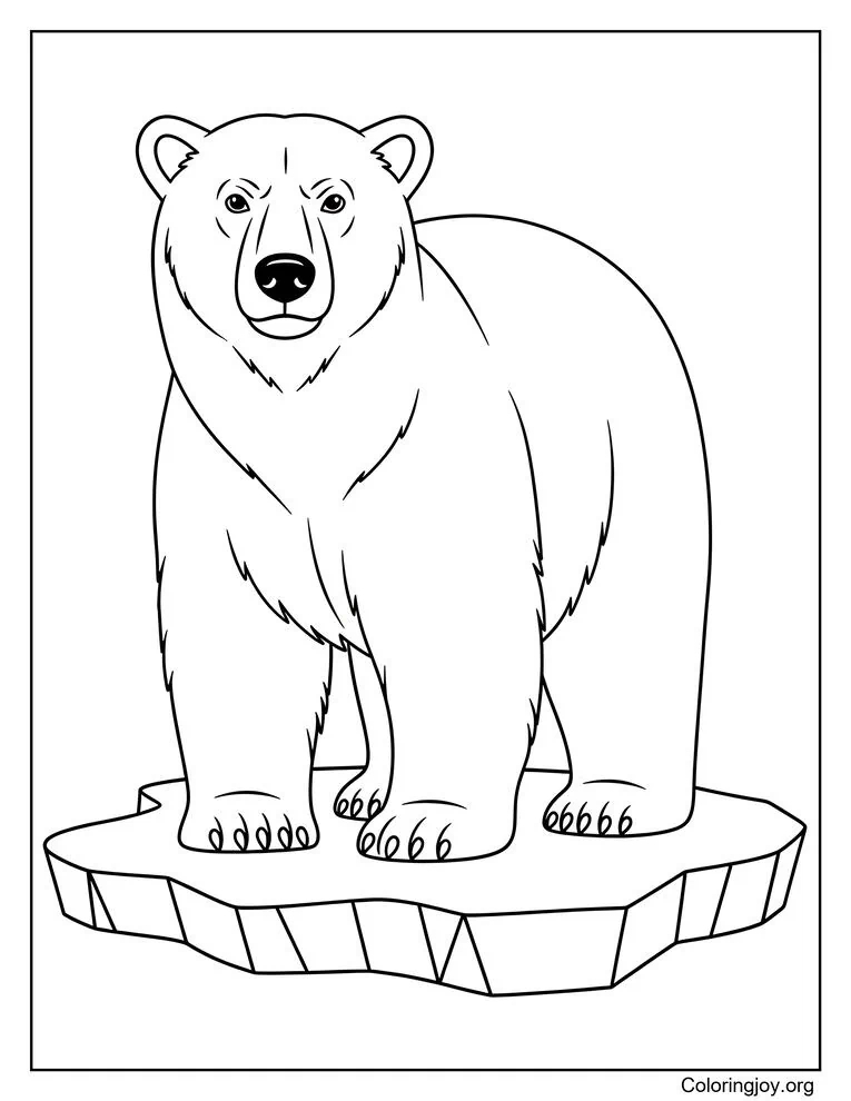 polar bear on ice floe