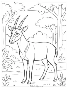 Saola in Forest Animal