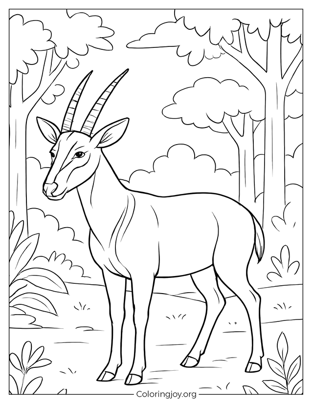Forest Animal Saola Coloring page