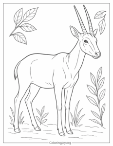 Realistic Saola Coloring Page