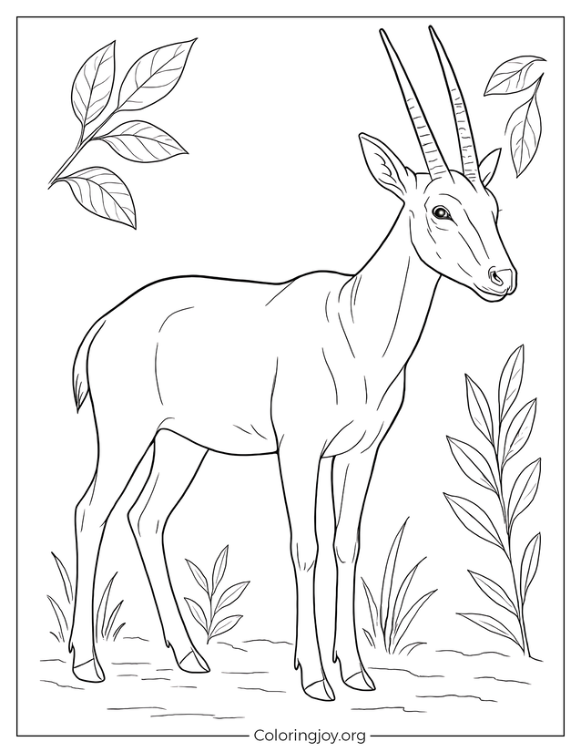Realistic Saola Coloring Page
