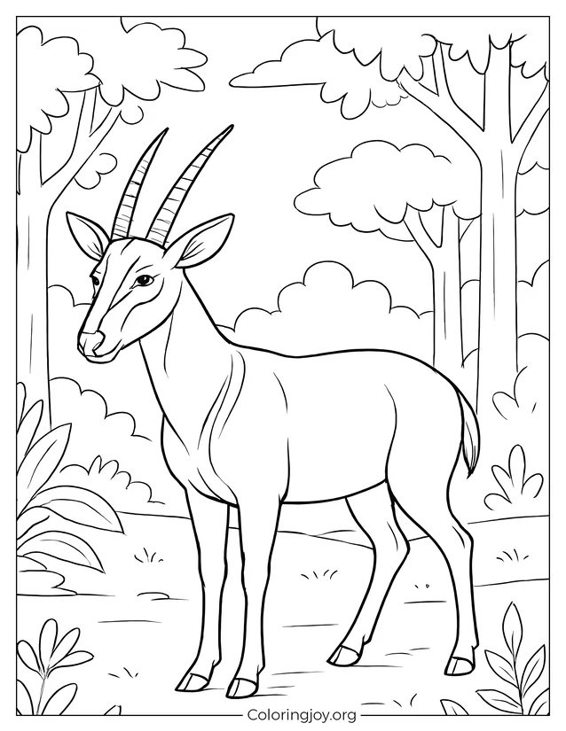 Saola en animales del bosque