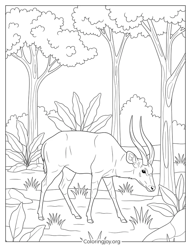 Saola Hábitat forestal