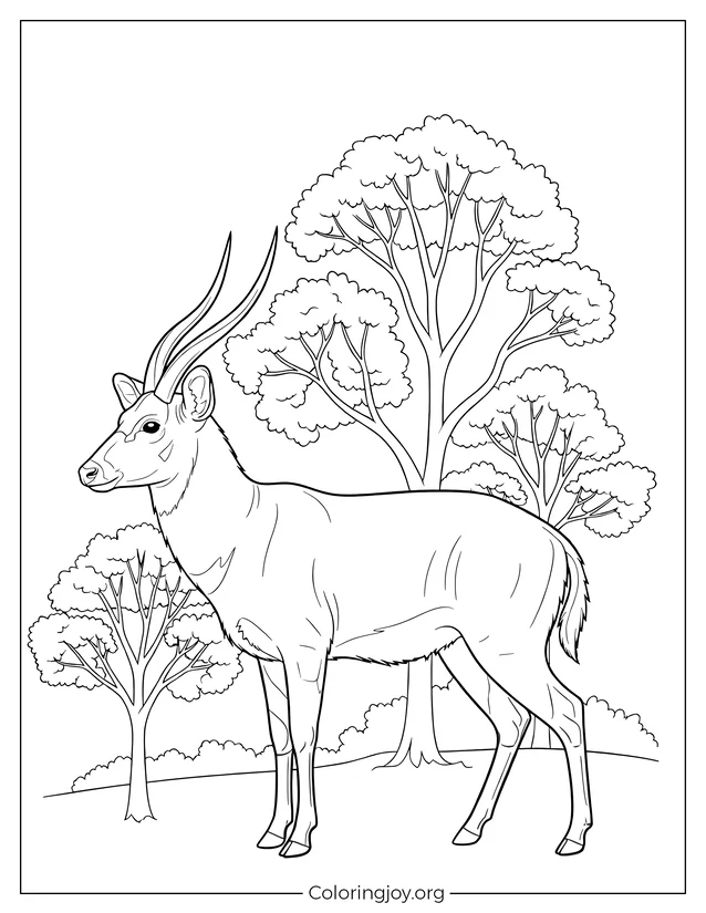 Un Saola de pie en el bosque Imprimible