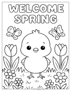 Chick and Flowers Spring