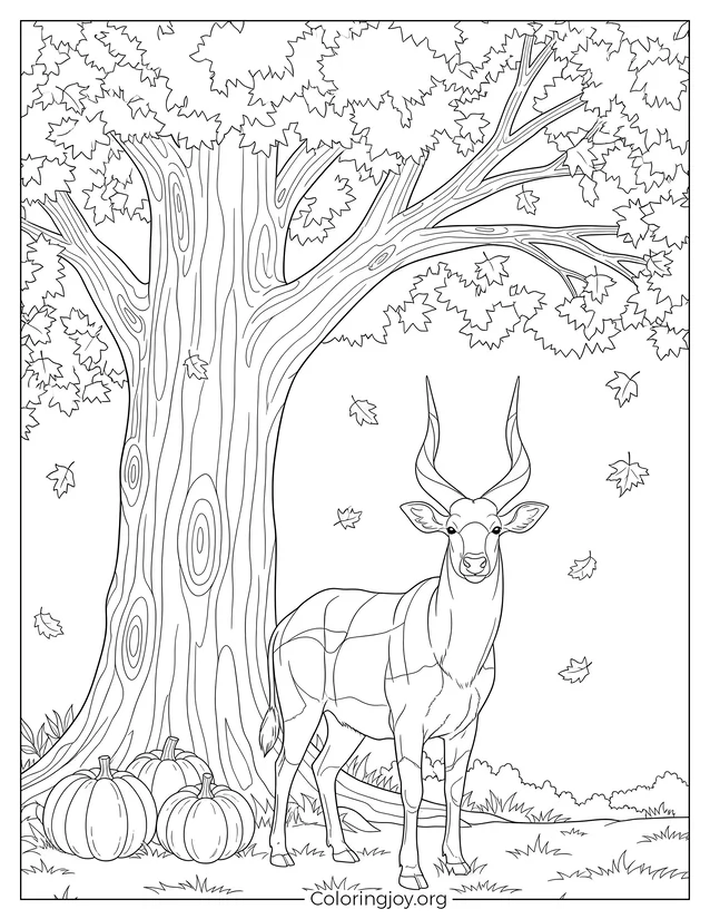 Seasonal Saola Autumn