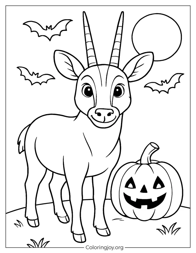 Saola en Halloween