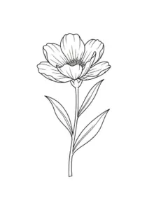 My Flower Coloring Page