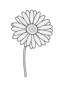 Pretty Daisy Coloring Page