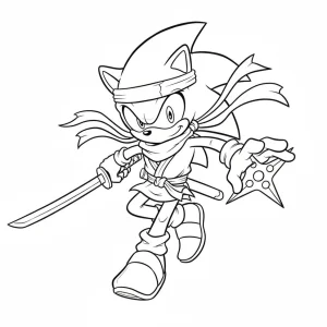 Ninja Sonic