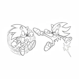 Sonic Shadow fighting