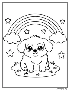 Dog Rainbow