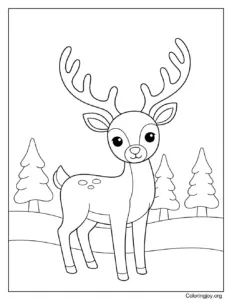 Winter deer