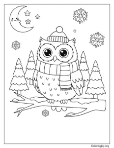Winter owl