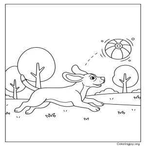 Beagle Chasing Ball
