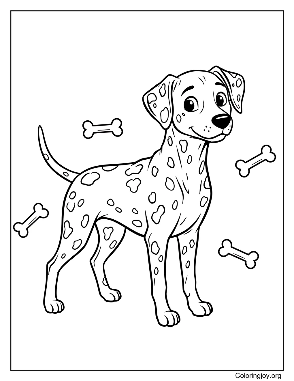 Dalmatian dog