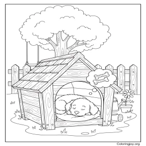 Dog House