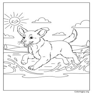 Duck Tolling Retriever