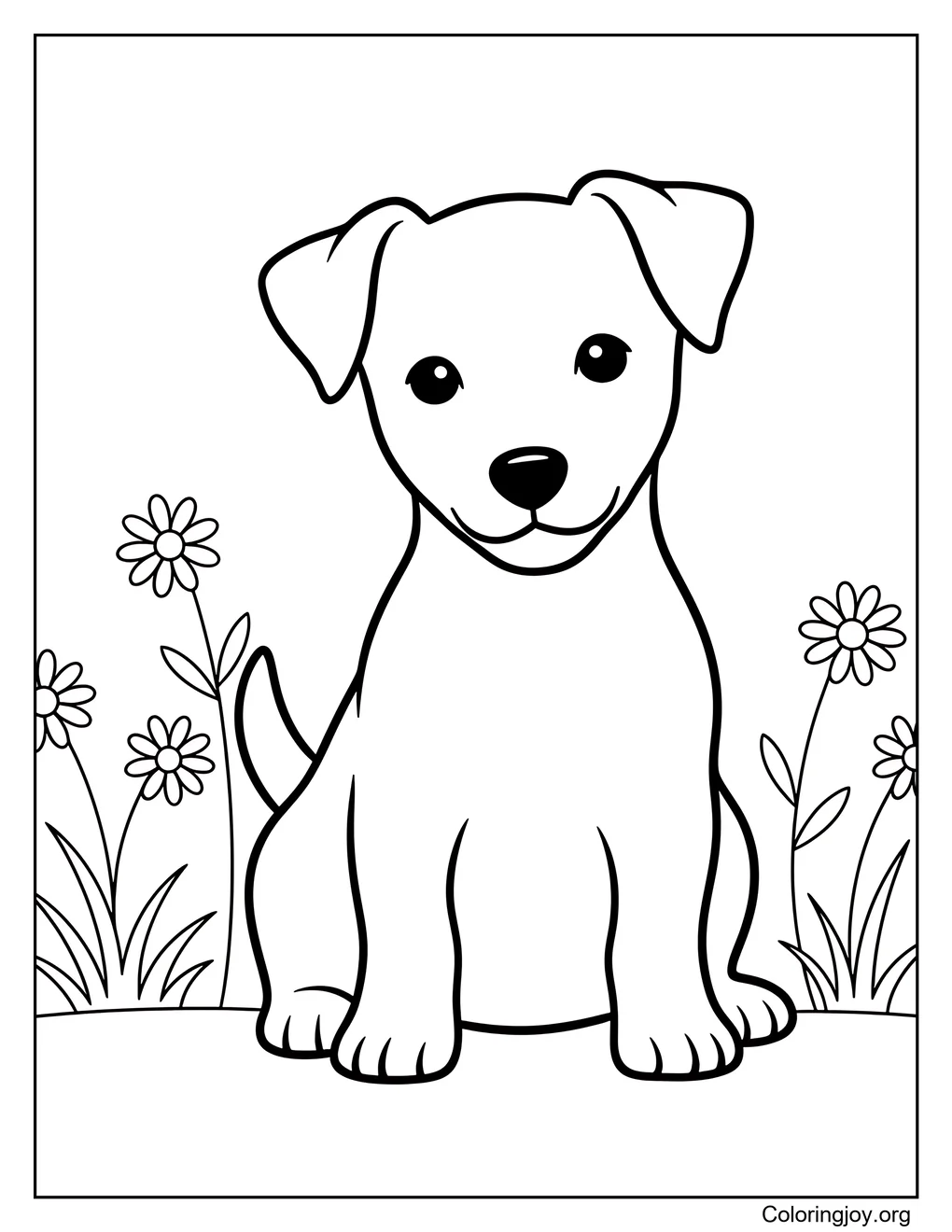 Perro de montaña suizo