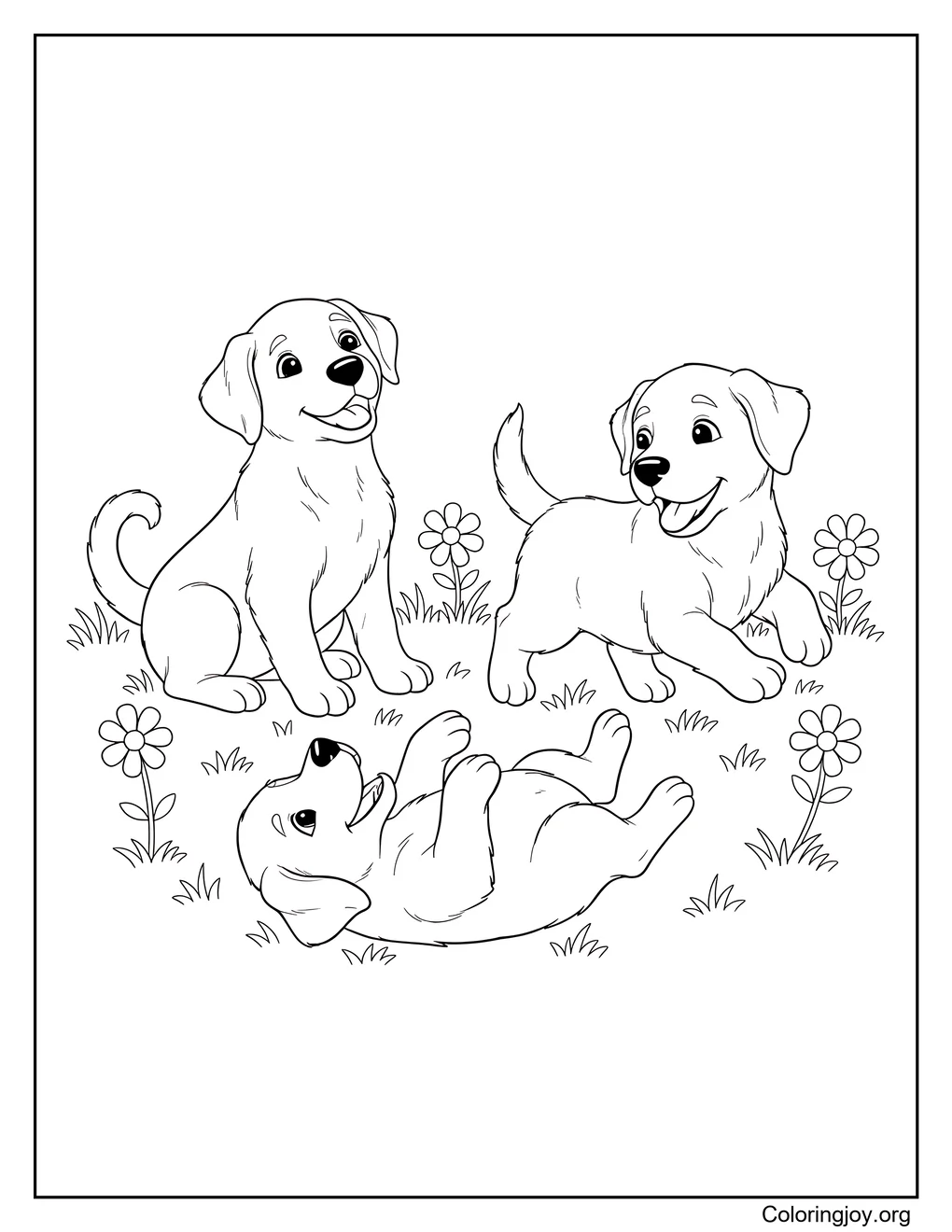 Cachorros labradores