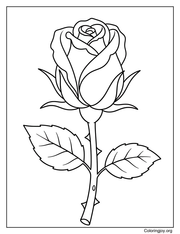 Página para colorear de capullo de rosa