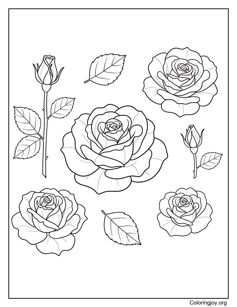 Colección de rosas botánicas