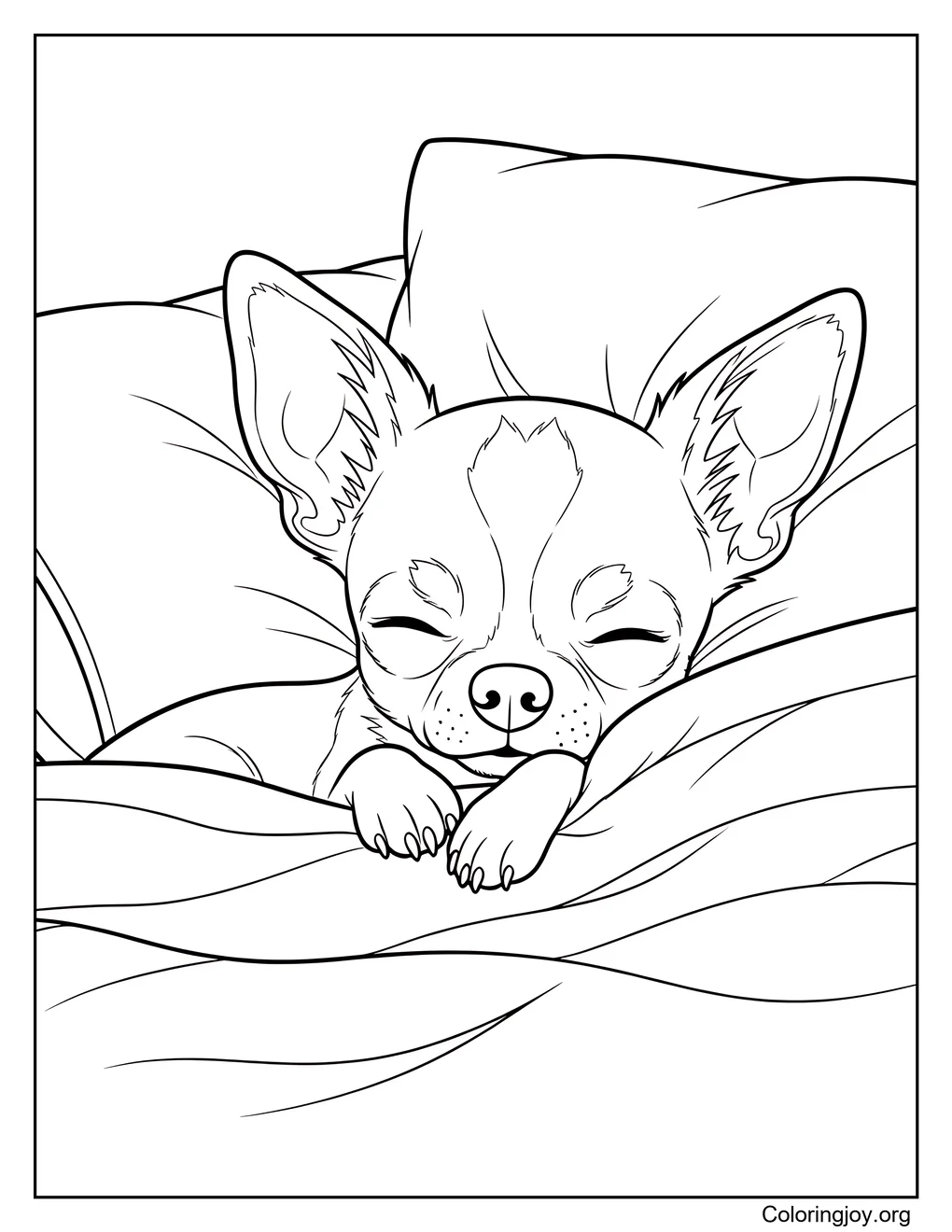 Lindo chihuahua durmiendo en una cama acogedora