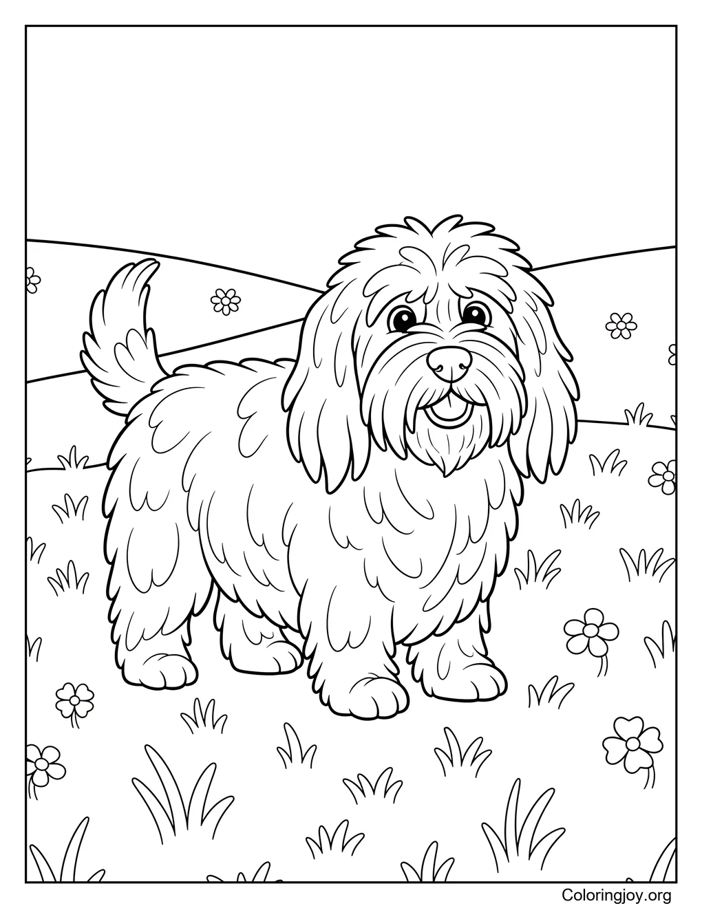 Perro pastor en el campo