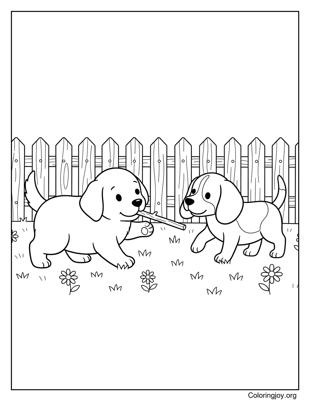 Perros en el césped