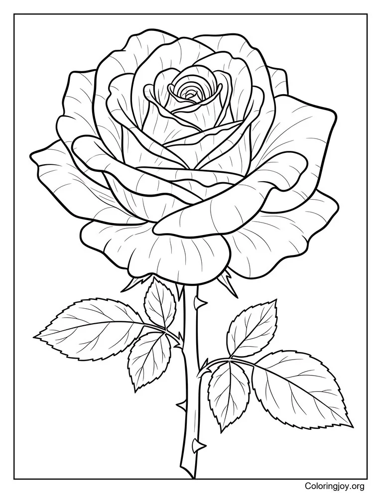 Página para colorear de una sola rosa con pétalos detallados