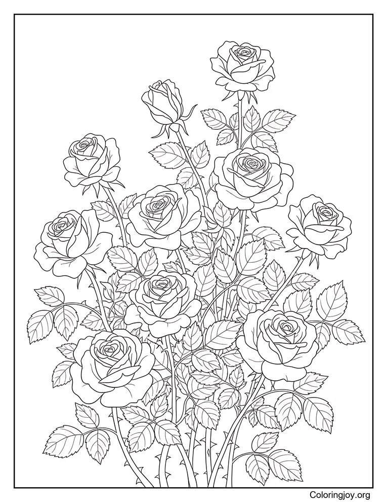 Página para colorear de rosal