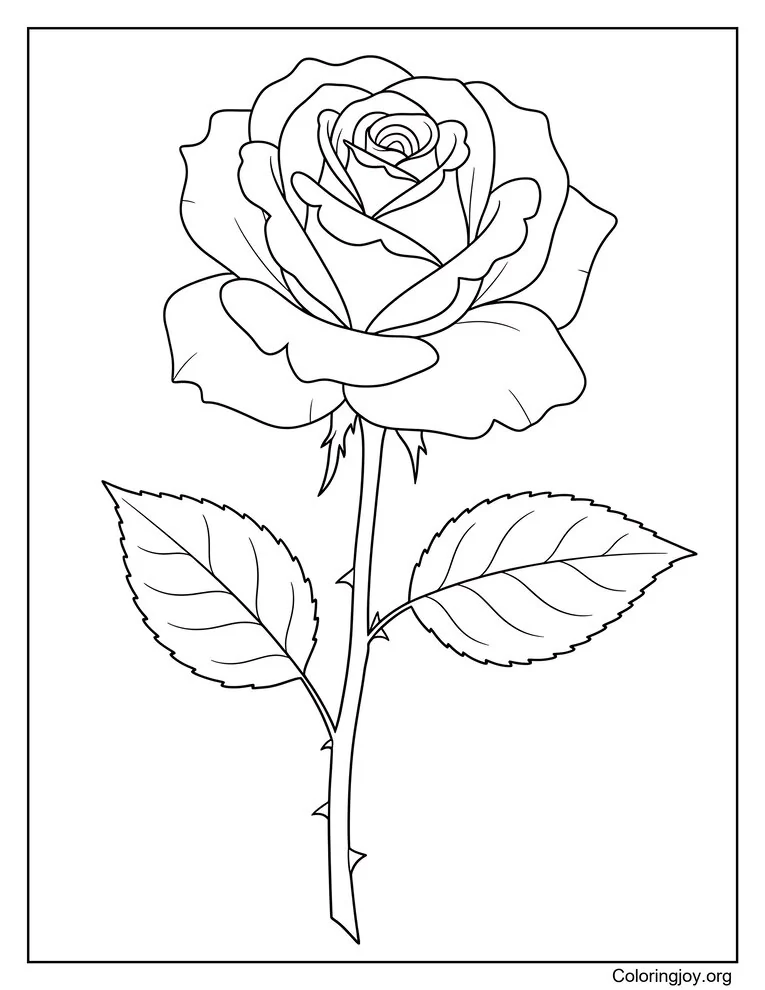 Página para colorear de una sola rosa