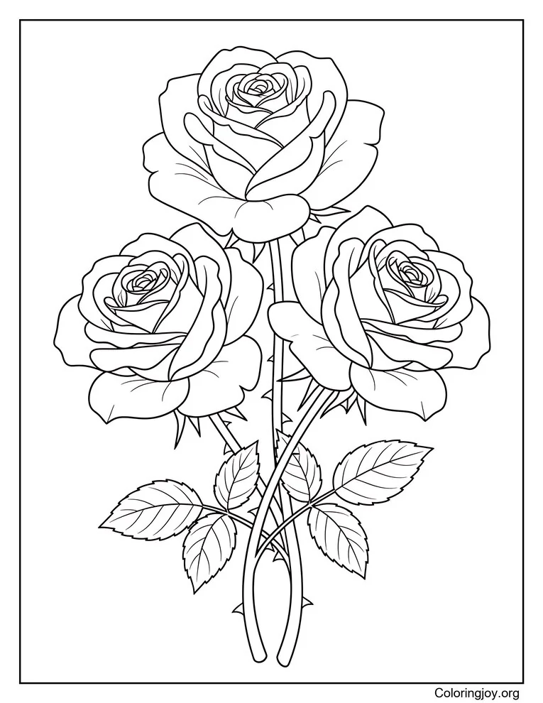 Página para colorear de tres rosas