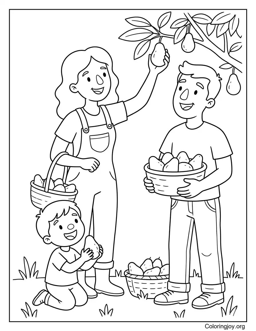 Family Harvesting Avocados Coloring Page