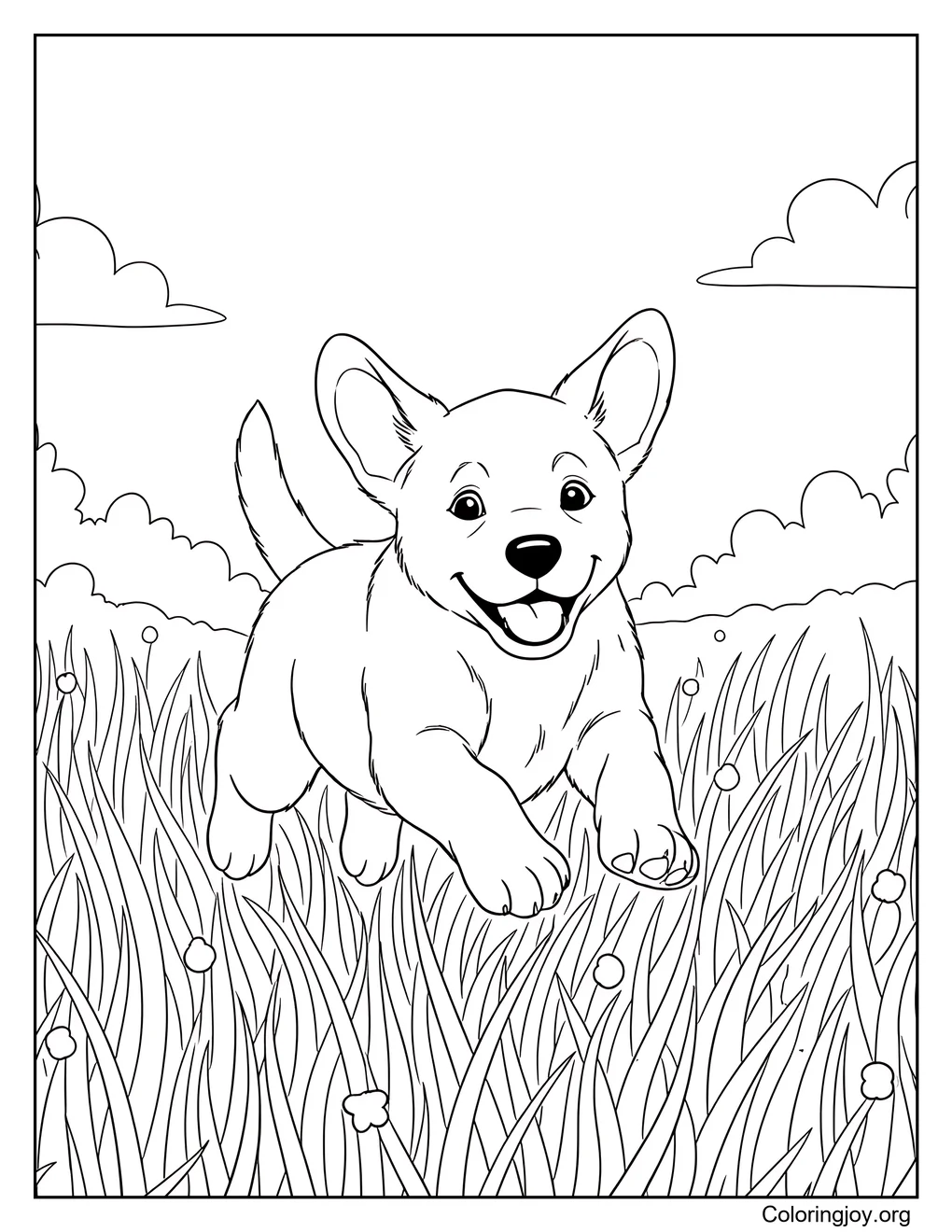 Labrador Puppy Grass