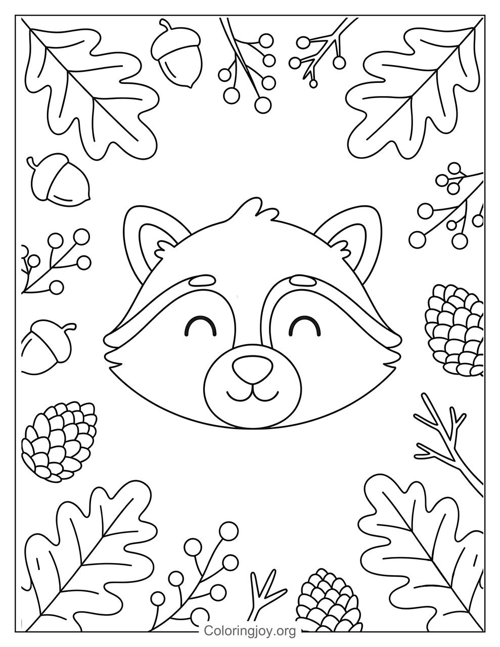 Raccoon Face Coloring Page
