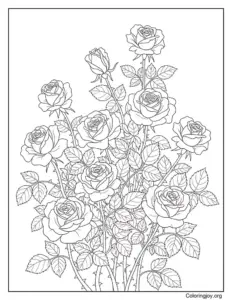 Rose Bush Coloring Page