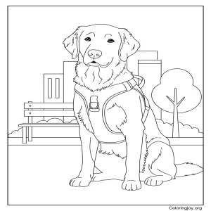 Service Dog