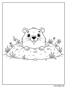 The Curious Groundhogs Peek