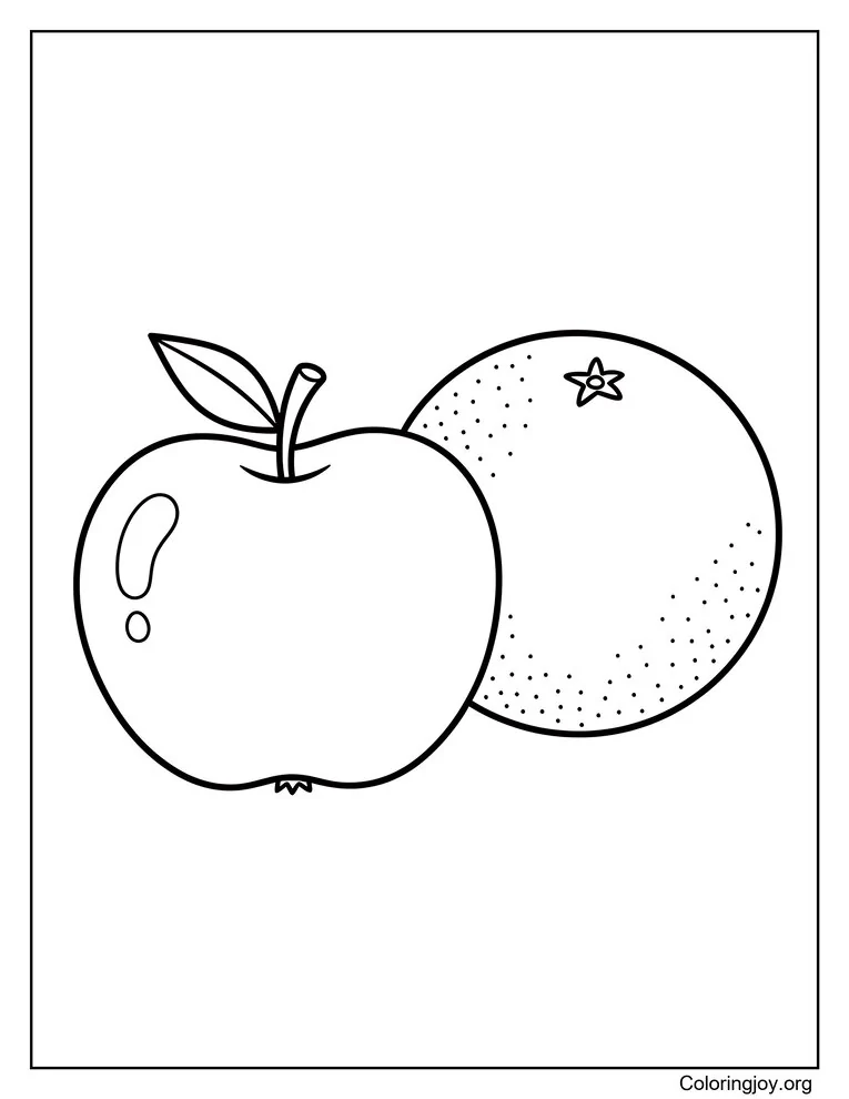 The Fresh Apple and Orange