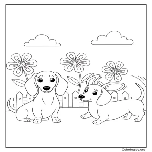 Two Dachshunds coloring sheet
